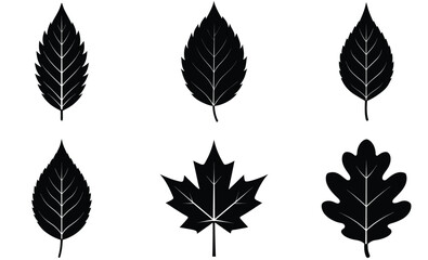 leaves silhouettes vector set with various trees and foliage including maple, oak, birch, beech, elm