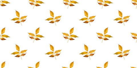 Wall Mural - seamless pattern of yellow autumn leaves creating a vibrant fall backdrop