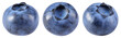 © MarcoFood - Blueberry isolated png. Blueberry on white or transparent background. Perfect retouched blueberry no background. Png blueberries collection. Full depth of field.