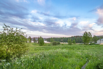 Wall Mural - a field of grass with a white house in the background