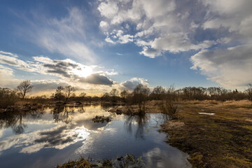 Wall Mural - a calm lake with trees in the background and a cloudy sky