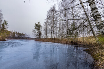 Wall Mural - a lake with a few trees in the background