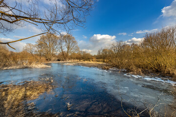 Wall Mural - a lake with a blue sky in the background