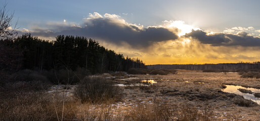 Wall Mural - a field with a sun setting in the background