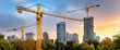 © ngamaz - Cityscape at sunset with construction cranes and high-rise buildings