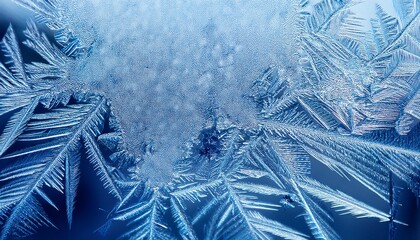 Wall Mural - Ice frosted background