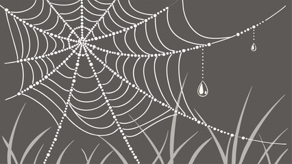 spider web with dew drops
