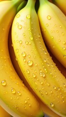 Fototapete - Bunches of ripe bananas with droplets of water on them.