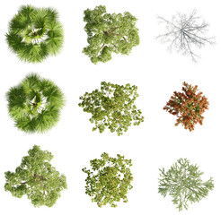 set of trees rendered from the top view, 3D illustration, for digital composition, illustration, 2D plans, architecture visualization