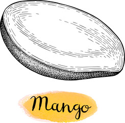 Wall Mural - sliced mango ink sketch.