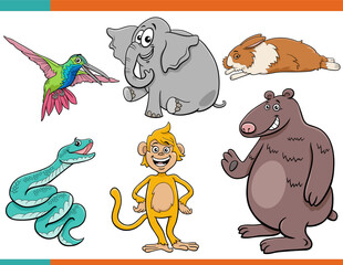 Wall Mural - funny cartoon animal characters collection