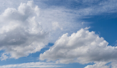 Wall Mural - blue sky with fluffy white close up clouds.