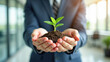 © Radorog. - in the palms of a businessman, the earth with a green sprout is in close-up