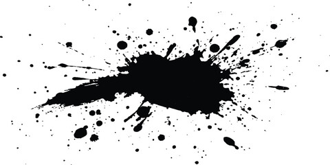 Leinwandbilder - Vector simple black brush stroke on a clean white background. Abstract black in splash, paint, brush strokes, stain grunge isolated on white background,	
