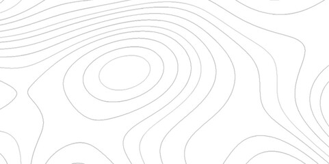 Wall Mural - abstract seamless pattern with lines topographic map, the black on white contours topography, abstra