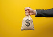 © TAMER YILMAZ - One hand holding a money bag. The concept of earning an income. Receiving a salary or payment. Making payments or purchases. Donating to charity. Financial gain and support, income opportunities.