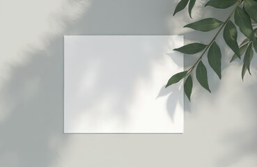 Aufkleber - Minimalist blank paper sheet with shadow overlay on gray background. Green leaves branch in the corner. Modern design element for presentation, mockup template.