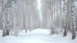© Tamtam - Serene Winter Wonderland with Snow-Covered Birch Trees and Pathway