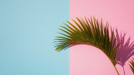 Poster - Pastel Minimalist Tropical Vibes Soft Palm Frond Design Exploring Color Block Aesthetics for Contemporary Digital Branding and Creative Content Styling