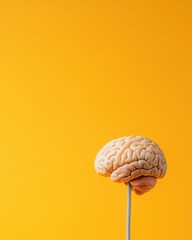 Aufkleber - Minimalist Neuroscience Visualization Innovative Brain Model Exploring Cognitive Design and Mental Health Insights for Next-Gen Medical Communication