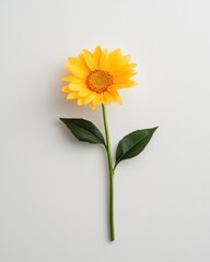 Poster - Minimalist Botanical Poetry Sunflower Resilience in Soft Light - Contemporary Nature Design for Wellness Branding and Sustainable Visual Storytelling