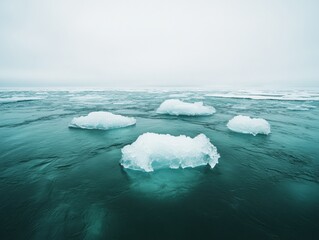 Aufkleber - Climate Crisis Visualization Minimalist Arctic Sea Ice Fragmentation - Eco-Documentary Imagery for Global Warming Awareness and Environmental Sustainability Reporting