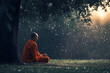 © Nelly - Monk meditating peacefully in the rain under a tree
