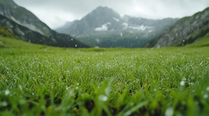 lush green grass glistens with raindrops as gentle rain falls over serene mountain landscape