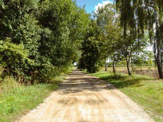 Wall Mural - dirt road with trees on either side