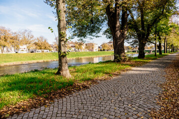 Wall Mural - park with a river running through it and a path