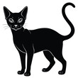 © mstkhatija - abssinina cat