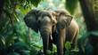 © DigitalDruid - Elephants favor young leaves due to their tenderness and easier digestibility compared to older, tougher leaves.