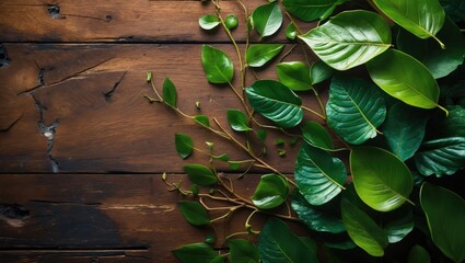 Aufkleber - Bright leaf against timber backdrop