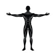 © oamcollection - Anatomical Silhouette of Human Figure
