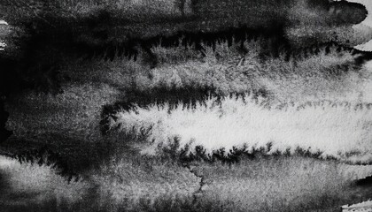 Poster -  abstract black ink wash texture with natural feathering for backgrounds, album art, poster design, or digital collages
