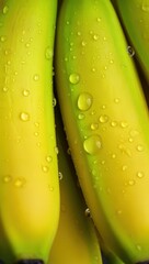 Fototapete - Bunches of bananas with drops of water on them.