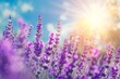 © Creative Laik - Lavender flowers on the background of blue sky and sun.