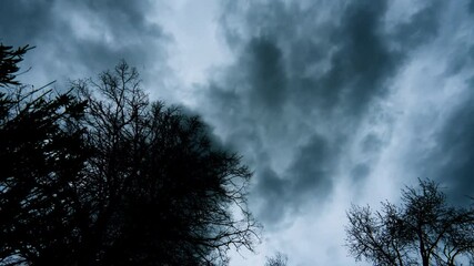 Wall Mural - silhouetted trees on fast moving timelapse of dark storm clouds passing overhead with blue hour sky.