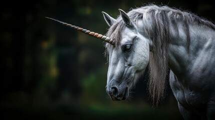 Poster - Majestic unicorn encounter in enchanted forest fantasy photography magical atmosphere close-up perspective