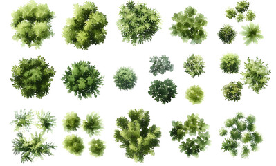 various green trees, bushes and shrubs, top view for landscape design plan. isolated watercolor illu