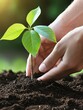 © AssanAI.Studio - Close-Up of Hands Planting a Young Green Seedling in Soil