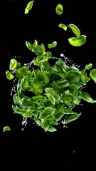 Aufkleber - Super slow motion of rotating basil leaves on black background with splashing water. Ultimate perspective and motion. Filmed on high speed cinema camera, 1000 fps. Vertical aspect ratio.