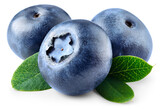 Blueberry isolated png. Blueberry with leaves on white or transparent background. Perfect retouched three blueberries with leaf no background. Png blueberry. Full depth of field.