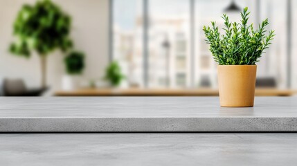 Poster - Empty grey stone countertop with plant in modern office setting