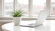 © kiimoshi - A sleek laptop sits on a modern table next to a vibrant potted plant. The bright window light enhances the workspace ambiance, creating a perfect blend of technology and nature.