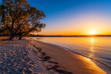 Aufkleber - Golden light dances on the water as the sun sets over a serene river, with trees silhouetted against the vibrant sky, creating a peaceful atmosphere