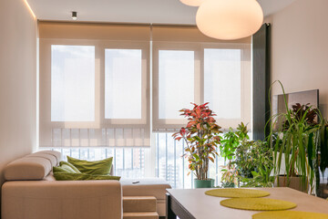 Poster - Motorized roller blinds cover large windows in a bright, cozy living room filled with indoor plants. Screen fabric for electric sun shades gently filters natural light. Smart home for shades.