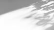 © Cool-Hunter - Overlay effects of realistic tree branch and leaves shadows isolated on transparent background,mockup of shadow for product presentation, backdrop,Summer sunlight and shadow overla