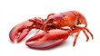 © Bimha - Red Lobster Studio Shot, Seafood Menu