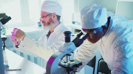 Wall Mural - two scientists, a senior caucasian man and a young african man, are working together in a laboratory